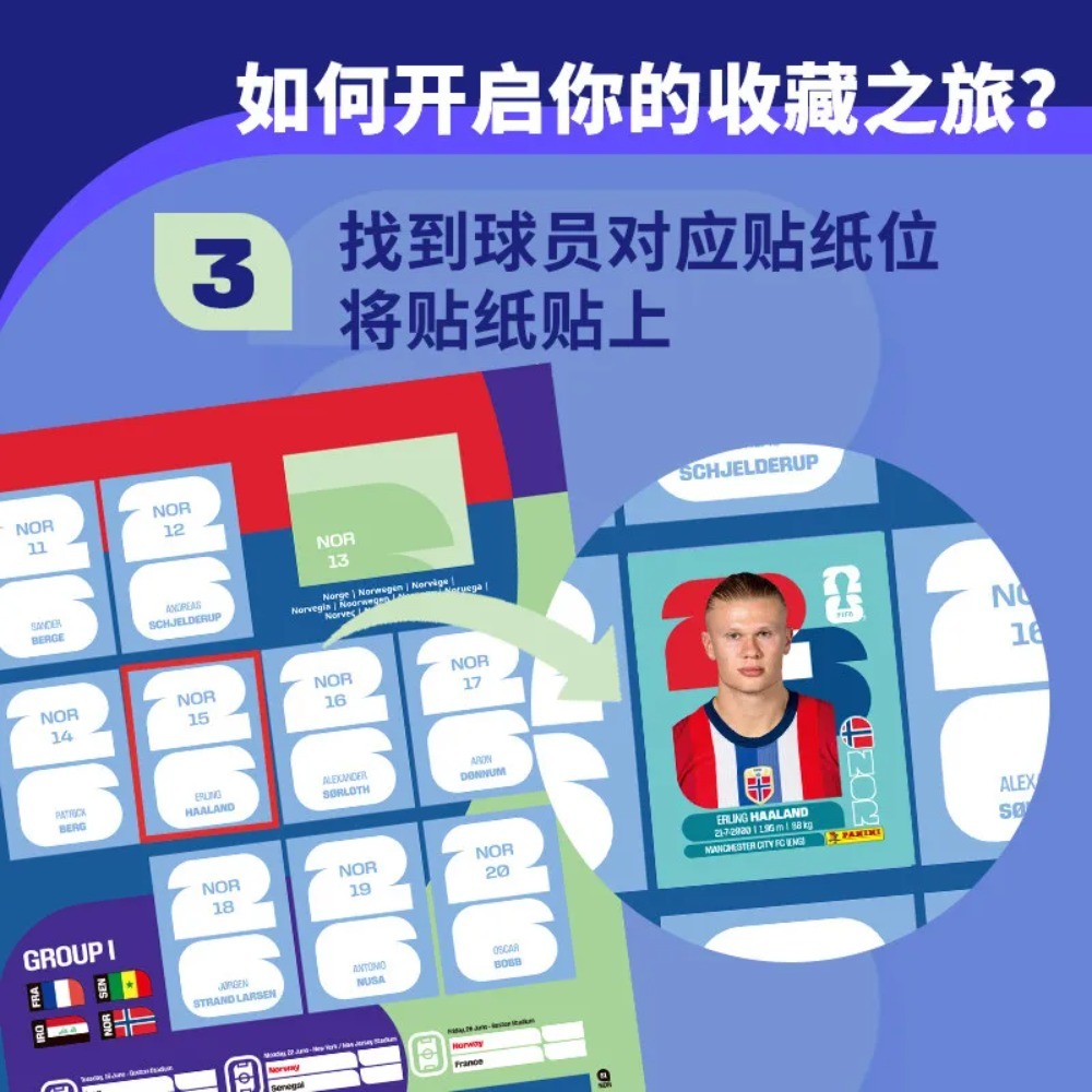 Coleção de Adesivos Panini 202 - Sticker Sheet Set avaliação e preço